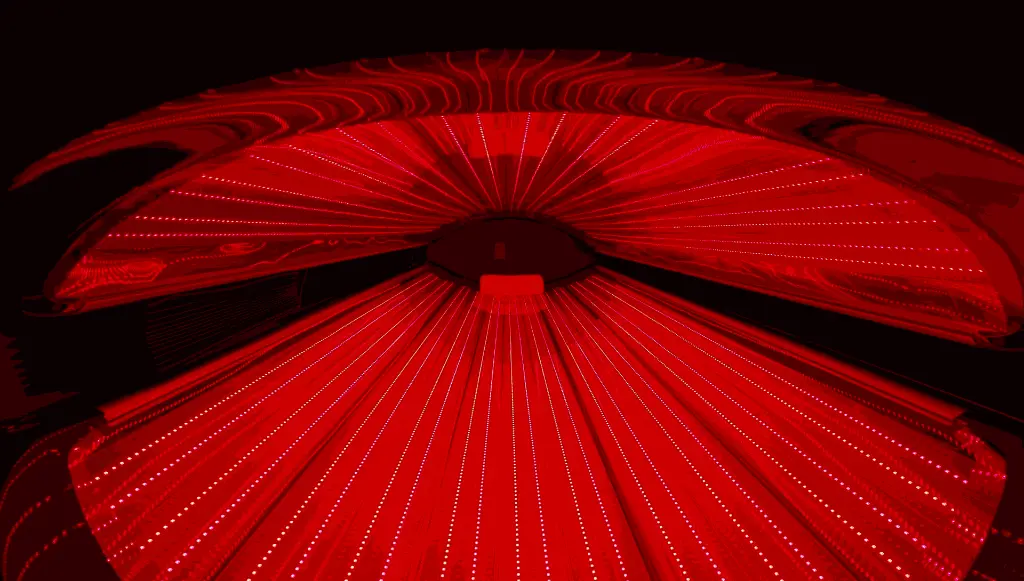 Lay-down Inside View.webp