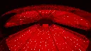 Lay-down Inside View.webp